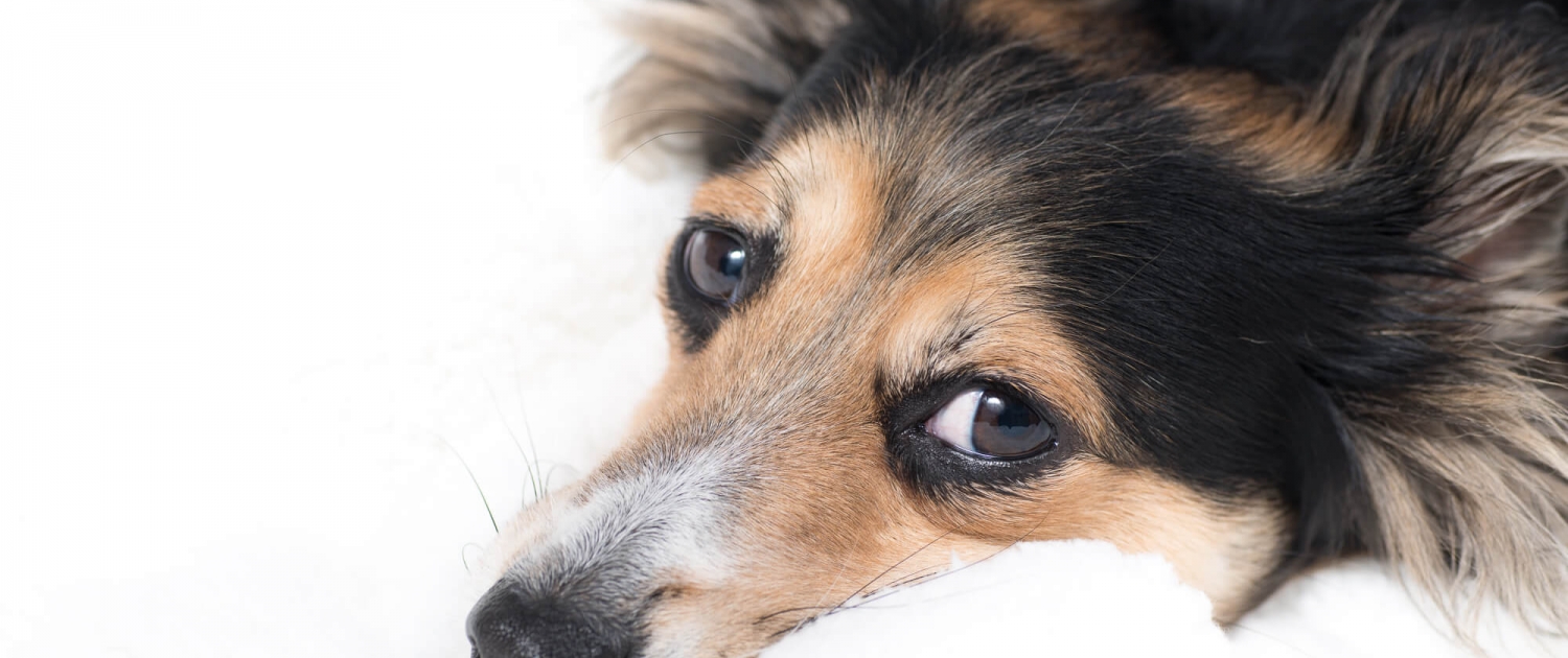 Ray Ratero Mix Highkey 2 Ray Ratero Mix Highkey 2