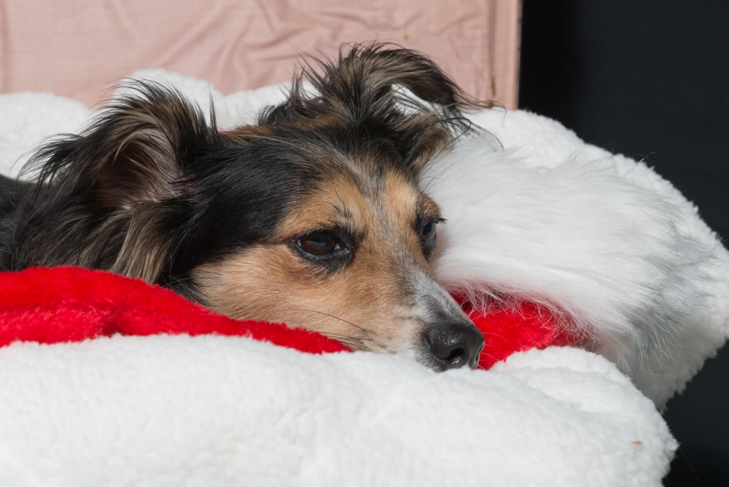 Ray Ratero Mix cosy 1 Ray Ratero Mix cosy 1