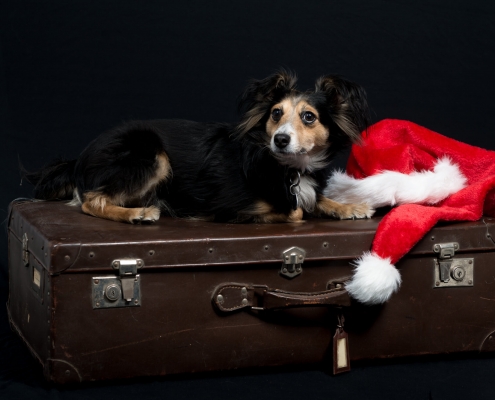 Ray Ratero Mix Weihnachten 2 Ray Ratero Mix Weihnachten 2