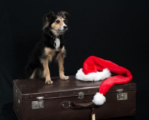 Ray Ratero Mix Weihnachten 3 Ray Ratero Mix Weihnachten 3