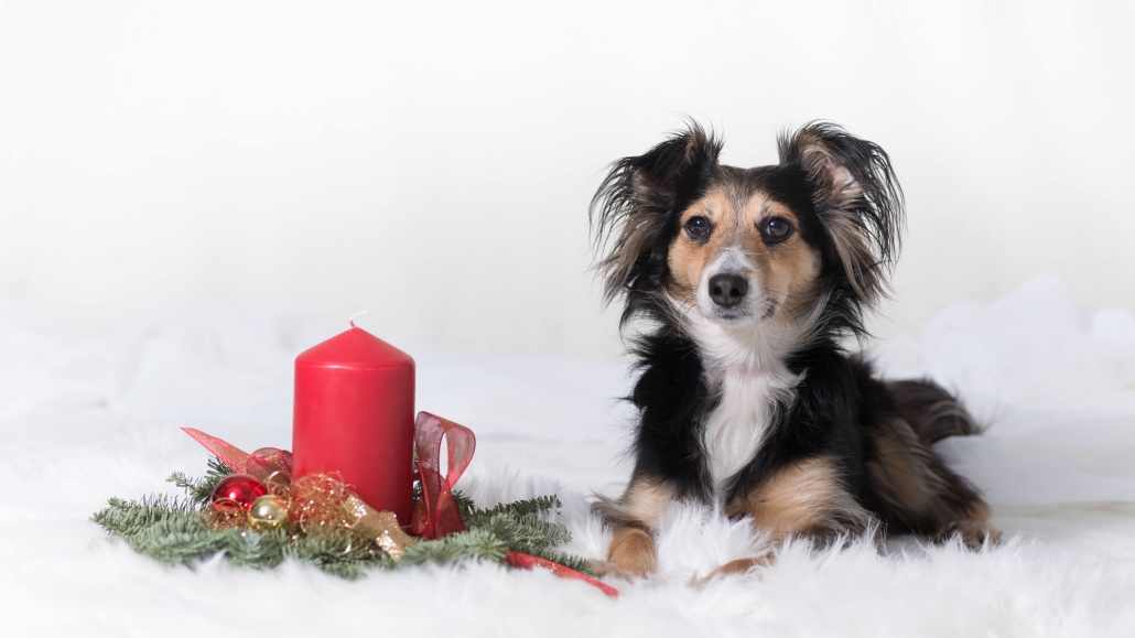 Ray Ratero Mix Weihnachten 4 Ray Ratero Mix Weihnachten 4