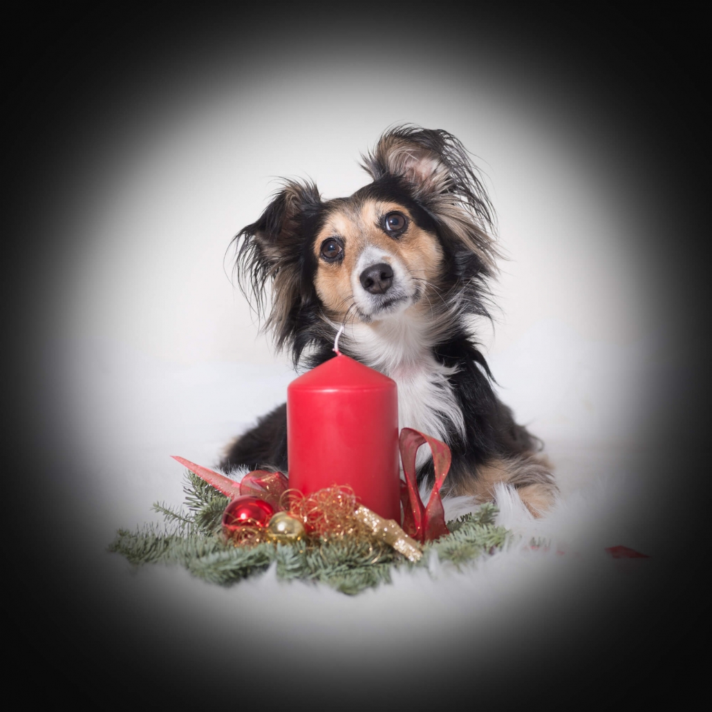 Ray Ratero Mix mit weihnachtlicher Kerze Ray Ratero Mix mit weihnachtlicher Kerze